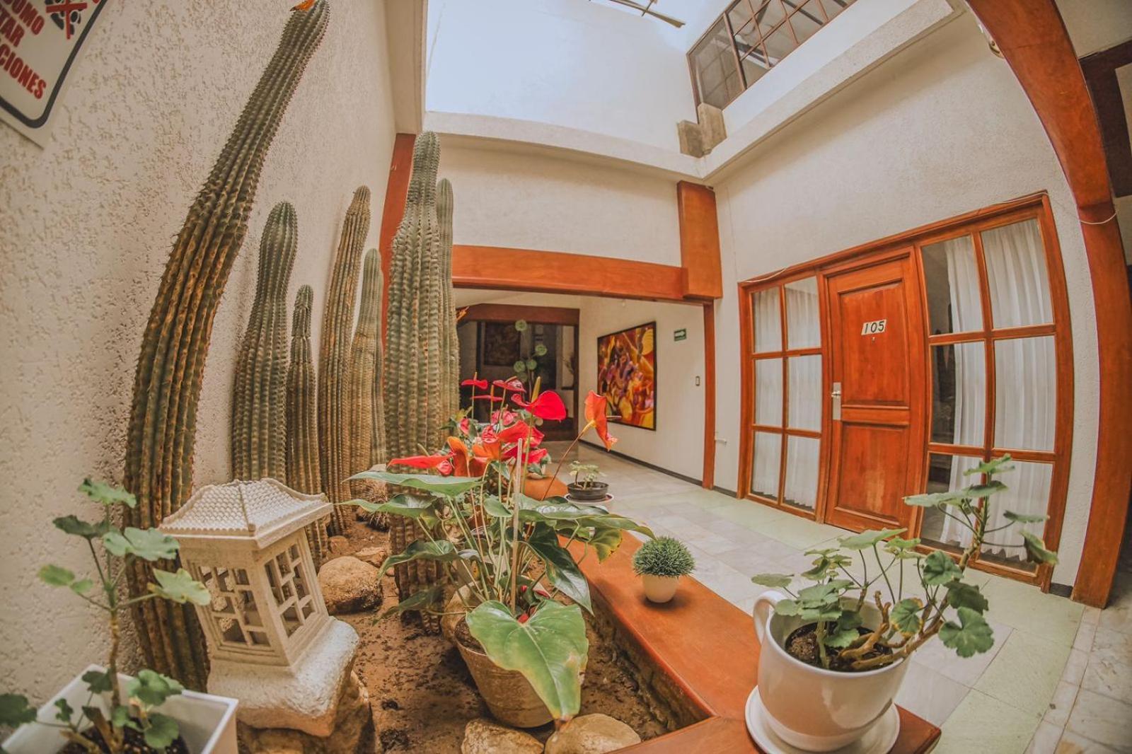 Hotel Q Oaxaca Extérieur photo